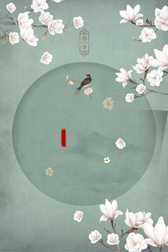 无套入一线天白虎